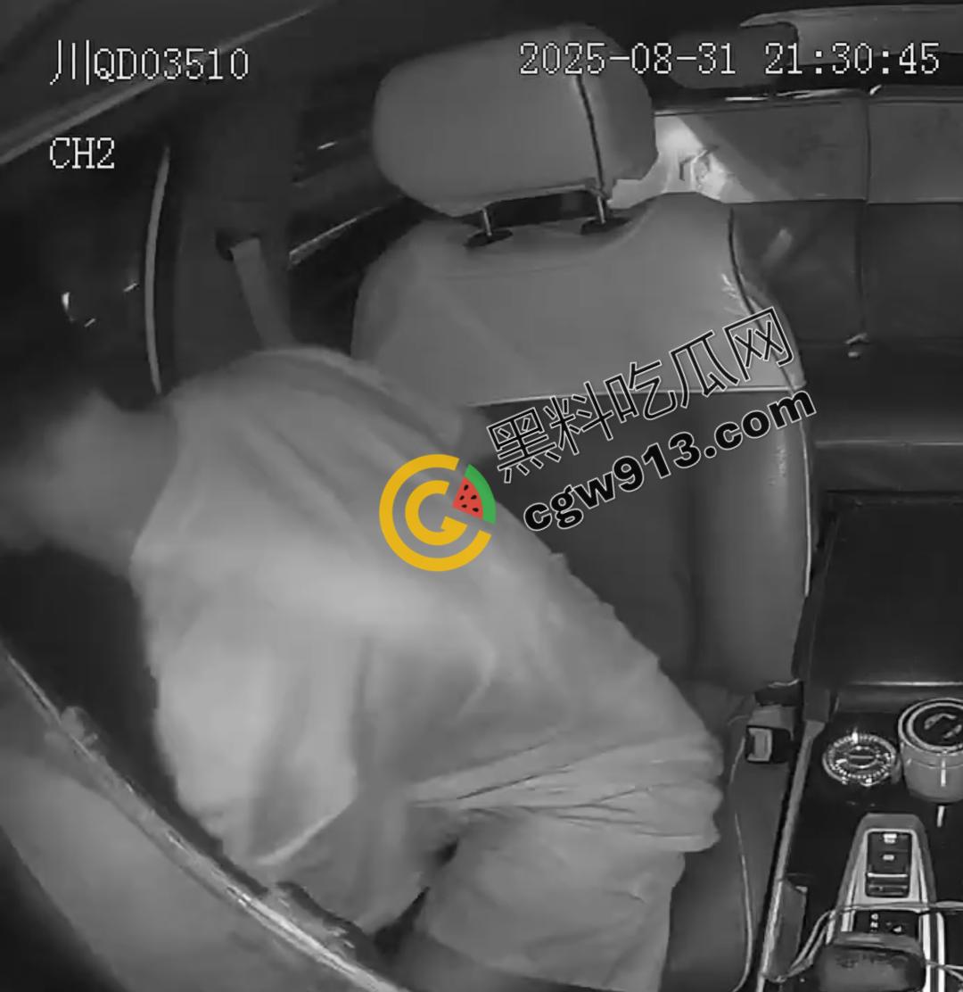 四川男子疯狂跳车险酿惨剧!网约车司机害怕惹祸赶紧录视频自保,惨烈撞脸引发全网热议-5