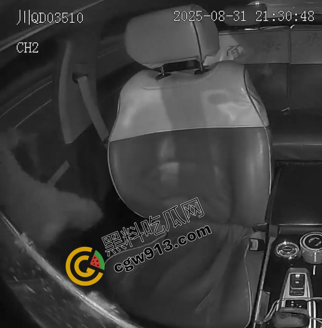 四川男子疯狂跳车险酿惨剧!网约车司机害怕惹祸赶紧录视频自保,惨烈撞脸引发全网热议-7