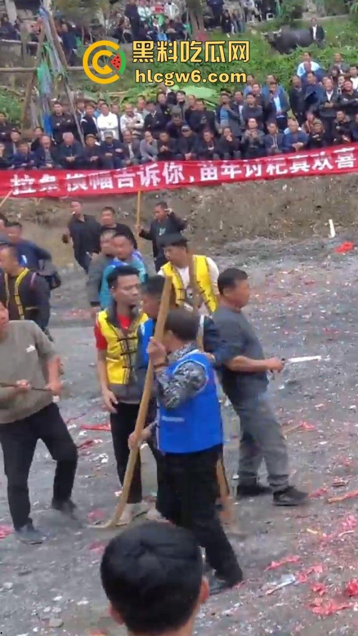 牛王陨落!贵州七十二寨斗牛王小山虎与神威大将军相撞同亡 残忍现场视频流出-9