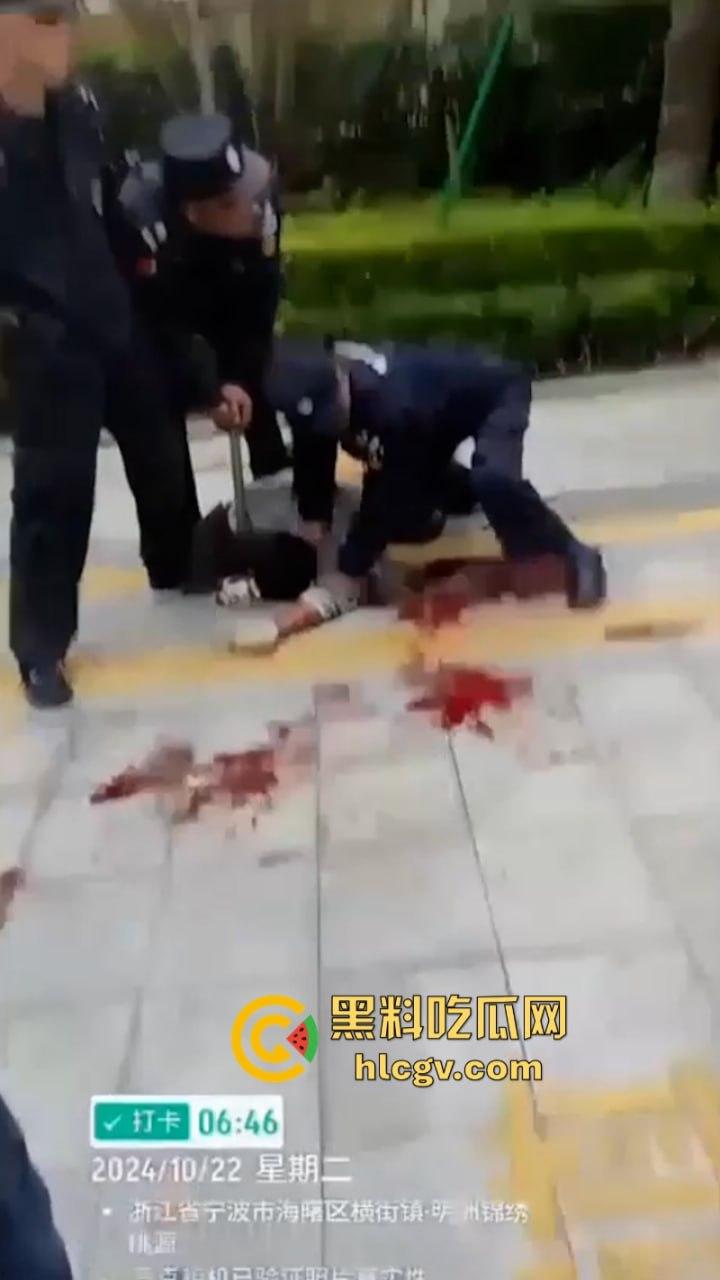 宁波海曙区一女子送孩子上学路上被人追砍 孩子的身受数刀 视频直击血腥现场-7