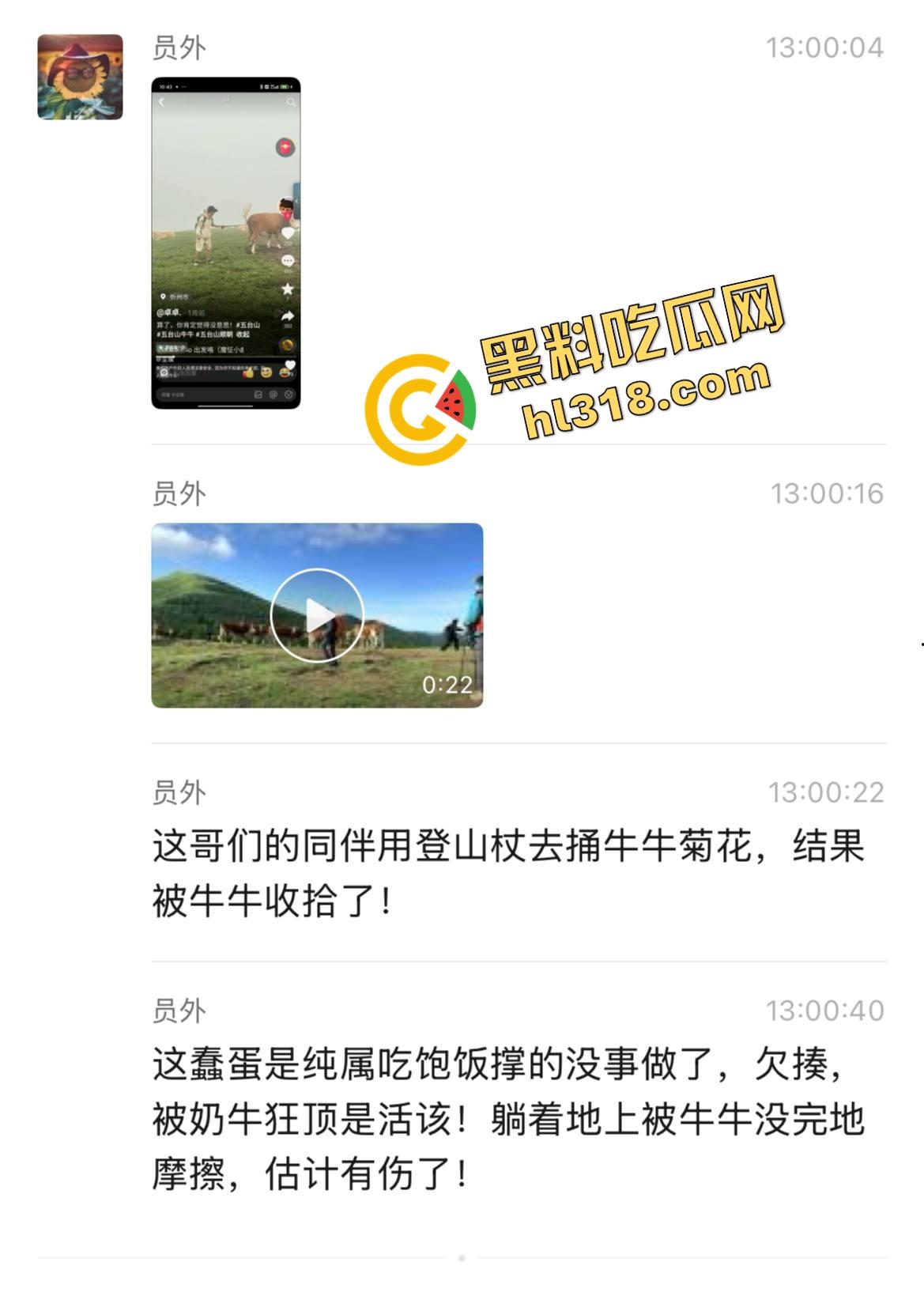 抖音爆笑热瓜,小伙拿登山杖挑牛菊花,没想到反被牛摁地摩擦,这下知道什么叫牛气冲天了吧!-2