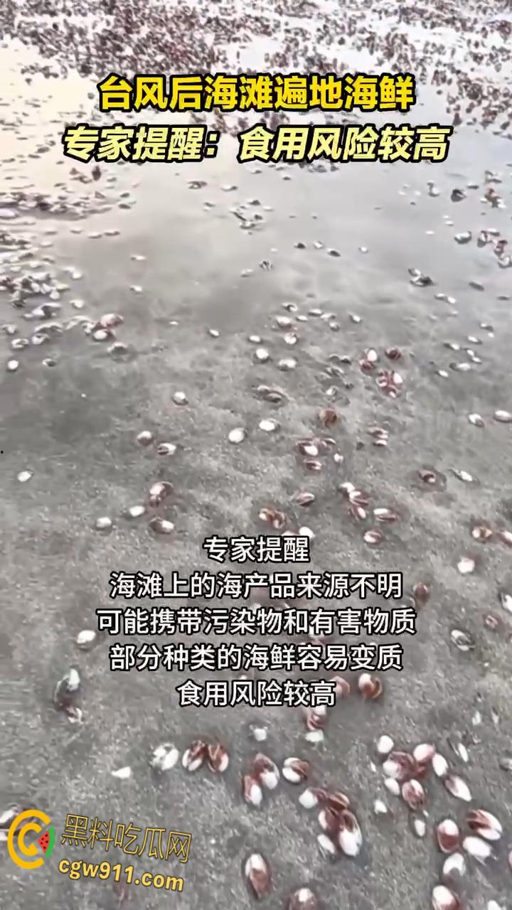 桦加沙台风卷海鲜上岸,街坊抢货如过年,海洋环境突变可能导致藻类大量繁殖,有毒勿食贪嘴小心躺板板!-1