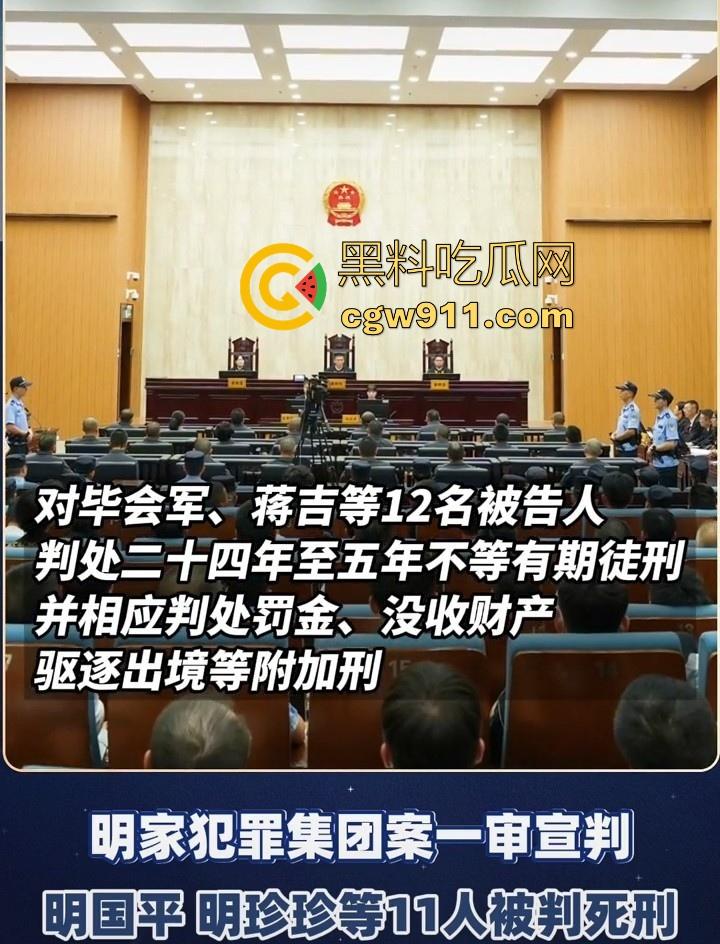 缅甸四大家族之一明家终于判刑了,5人判处死刑11人判无期12人二十四年至五年不等,对这种人渣应该全部死刑!-4