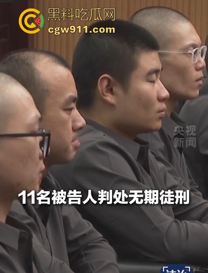 缅甸四大家族之一明家终于判刑了,5人判处死刑11人判无期12人二十四年至五年不等,对这种人渣应该全部死刑!-9