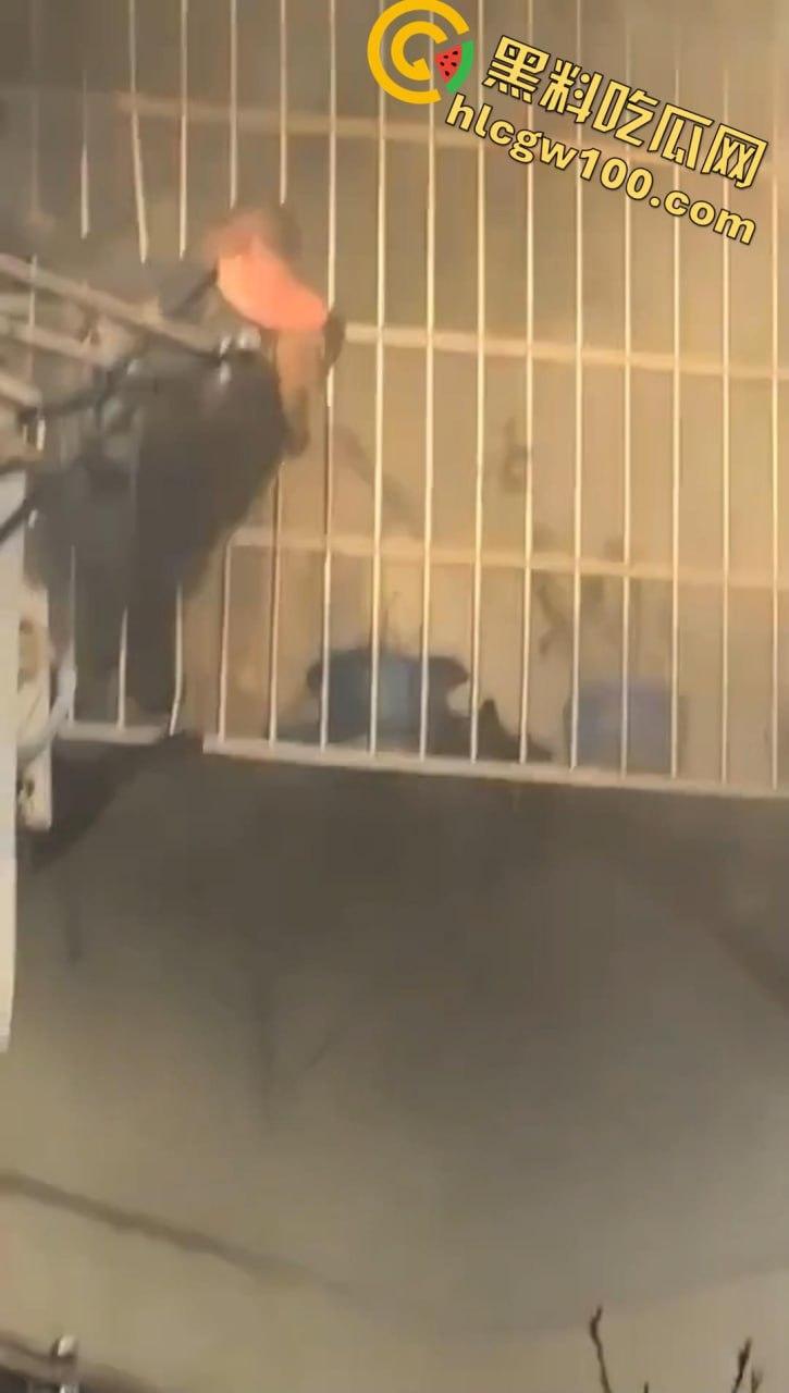 天塌了!南太湖突发噩梦级火灾!某小区瞬间变 “火场”,一死一伤,火光浓烟惊煞众人-4