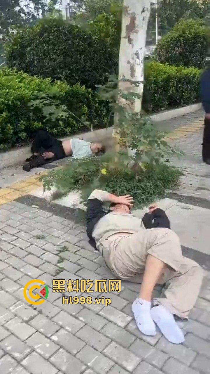 安徽蚌埠车祸致3死3伤！理想司机大喊刹不住，智能系统成悲剧导火索，警方通报引发热议！-9