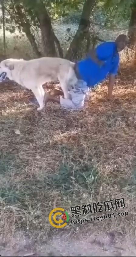 老尼哥被狗草了!这位黑大爷口味属实有点重啊-3