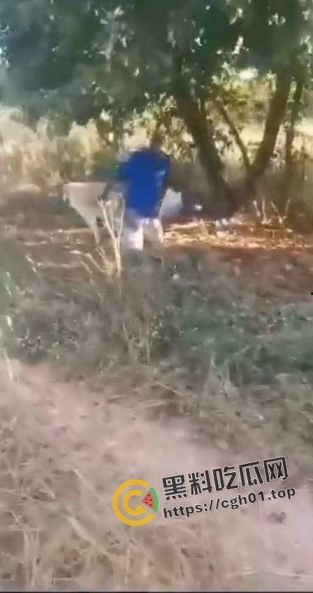 老尼哥被狗草了!这位黑大爷口味属实有点重啊-5