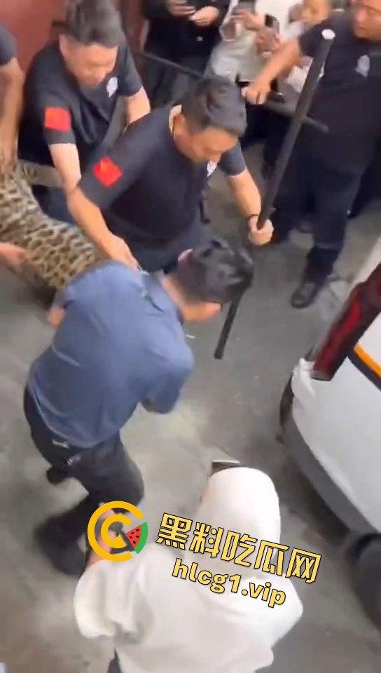 甘孜白玉县城惊现贵宾!金钱豹进城,周围居民直接呆住!-1