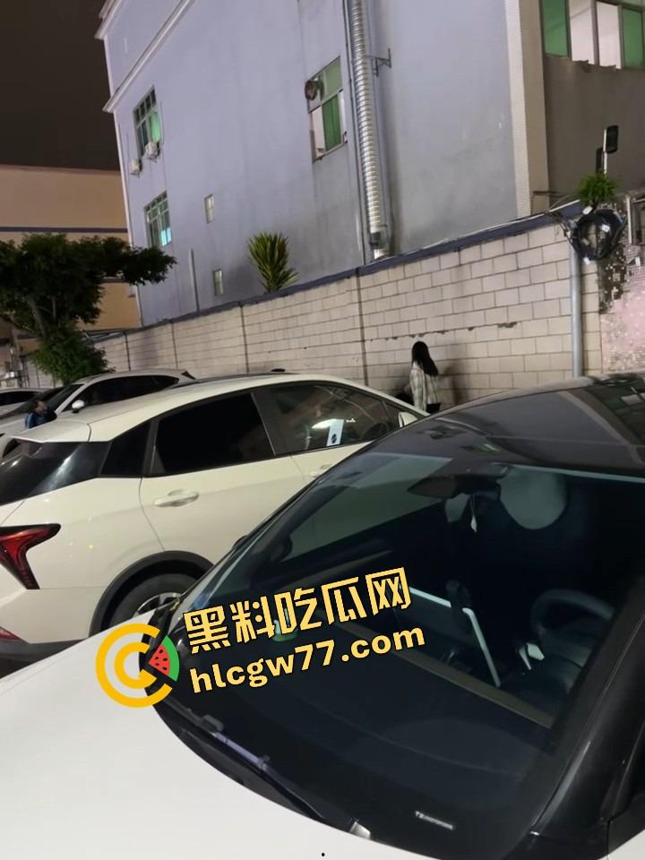 小学骚妹『林雨桐』年龄懂得都懂,跟黄毛开房被亲姐现场逮住,床单都湿了才反应过来闯大祸!-8