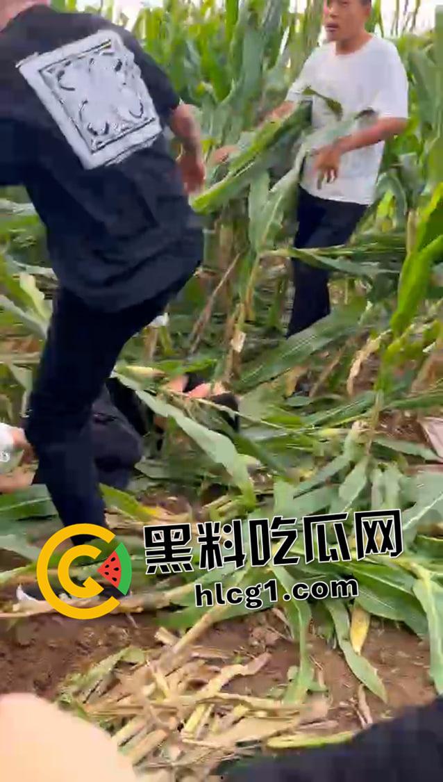 快手大瓜!河南林州红脸社霸凌围殴全集视频! 古惑仔的河南本土化 哥哥你满嘴靠嫩娘真帅-2