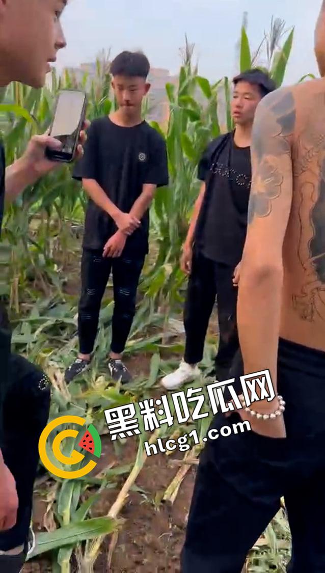 快手大瓜!河南林州红脸社霸凌围殴全集视频! 古惑仔的河南本土化 哥哥你满嘴靠嫩娘真帅-4