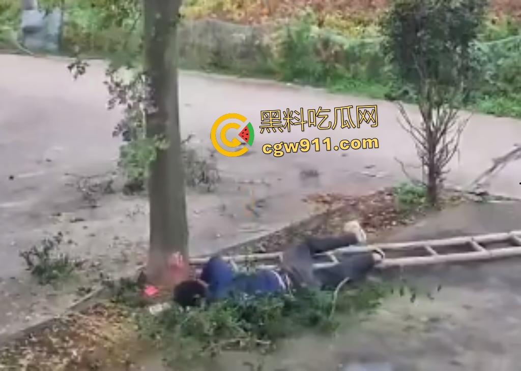 大爷作死上树砍枝惨摔内伤!年过半百爬木梯伐树,树枝滑落砸翻落地,这才是真伐木累,痛到怀疑人生!-3