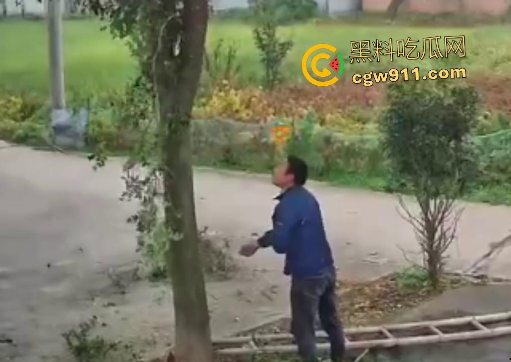 大爷作死上树砍枝惨摔内伤!年过半百爬木梯伐树,树枝滑落砸翻落地,这才是真伐木累,痛到怀疑人生!-6