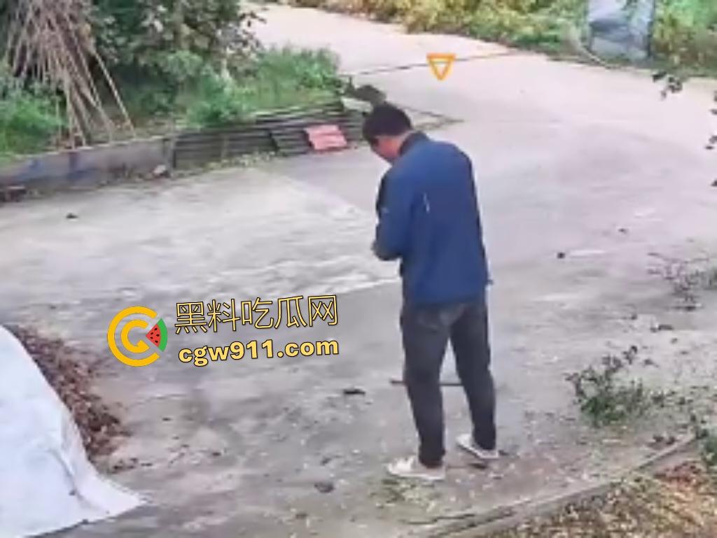 大爷作死上树砍枝惨摔内伤!年过半百爬木梯伐树,树枝滑落砸翻落地,这才是真伐木累,痛到怀疑人生!-8