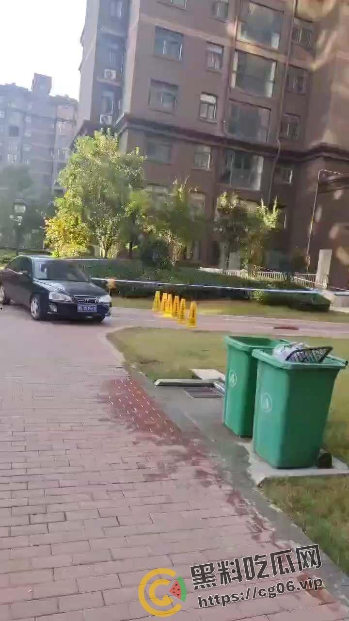 郑州灭门惨案!小孩半夜拍皮球 楼下邻居直接把全家刀了 丈夫当场死亡 血流满地 现场血腥画面曝光-4