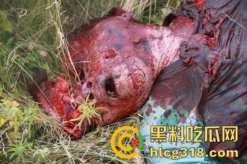 暗网流出尸海现场!马航MH17空难,遍地尸骸裸体女尸触目惊心,航空公司内部罕见画面胆小勿入!-5