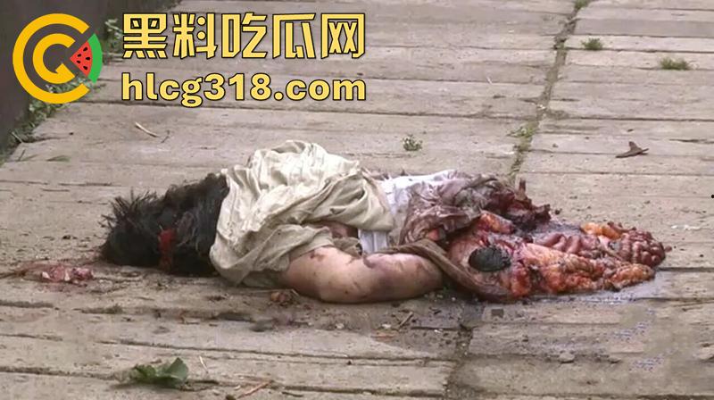 暗网流出尸海现场!马航MH17空难,遍地尸骸裸体女尸触目惊心,航空公司内部罕见画面胆小勿入!-17