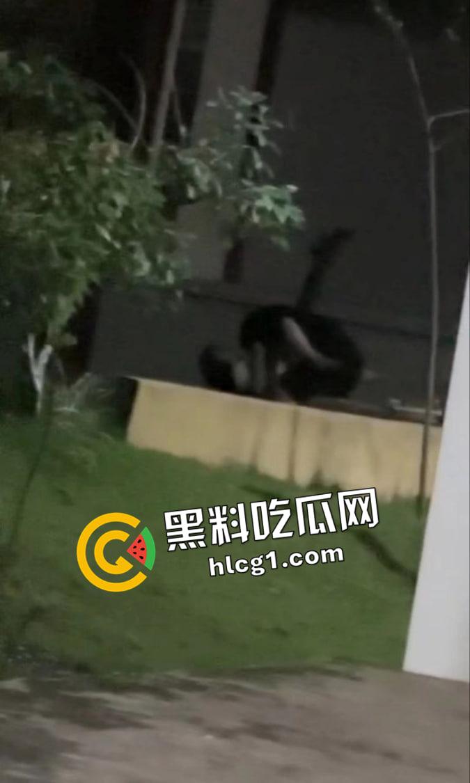 卫校小姐姐围观自己的好姐妹打野战  教学楼外干到失声大叫 现场视频流出-3