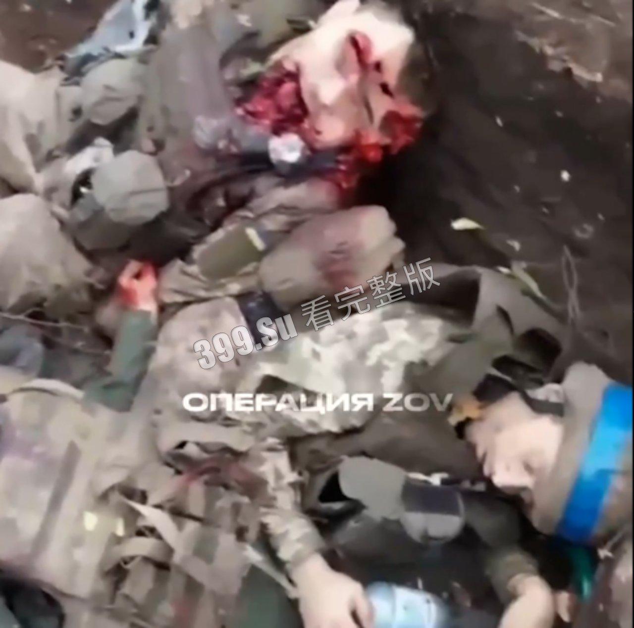俄乌战争第一视角实录合集 现场只能用惨烈来形容 能留全尸的便算是幸运了 心理承受能力低的瓜友 勿点!!-4