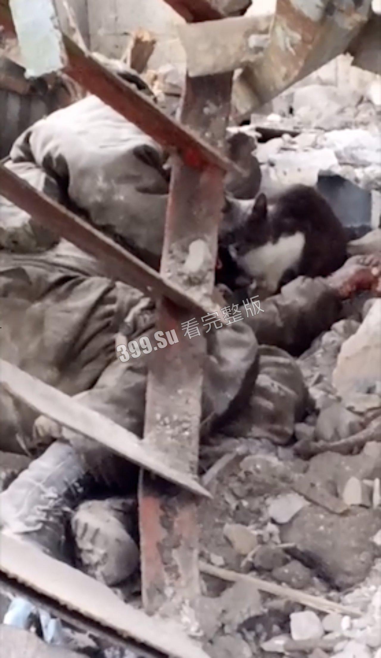 俄乌战争第一视角实录合集 现场只能用惨烈来形容 能留全尸的便算是幸运了 心理承受能力低的瓜友 勿点!!-9