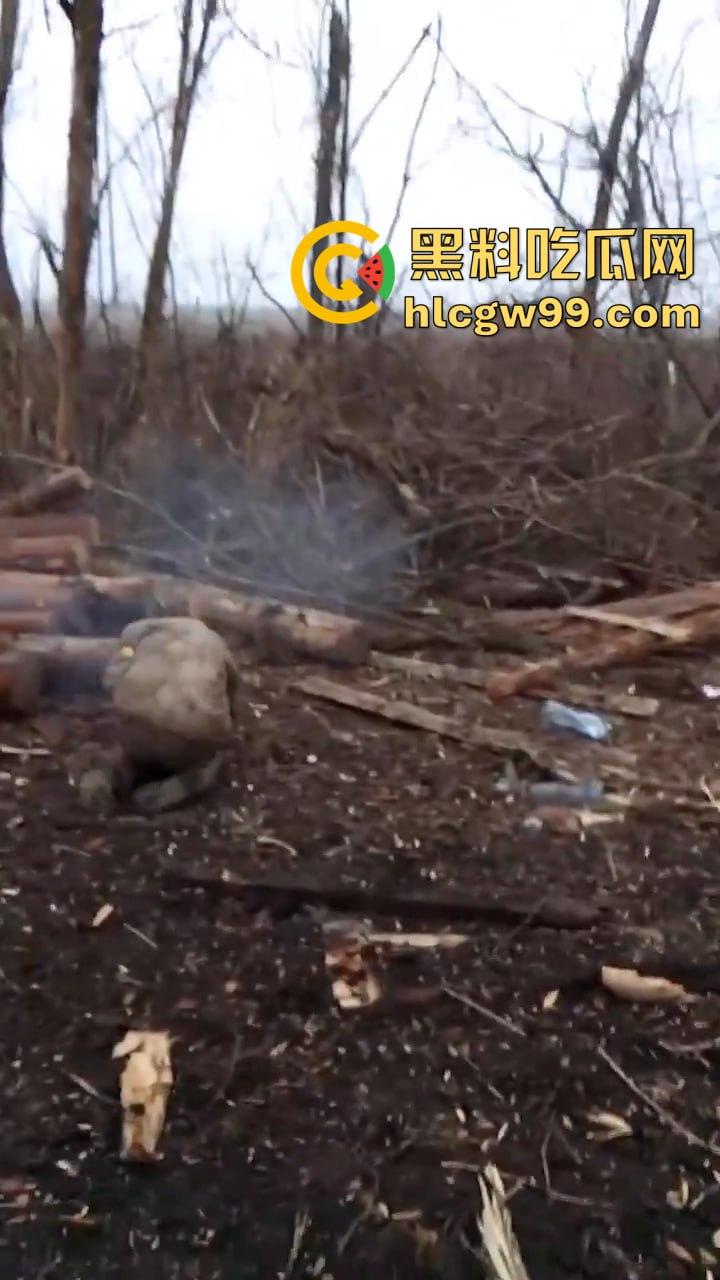 惨无人道!俄乌战场竟公然对俘虏痛下杀手,这暴行像恶魔的爪牙,撕碎了文明的遮羞布-2