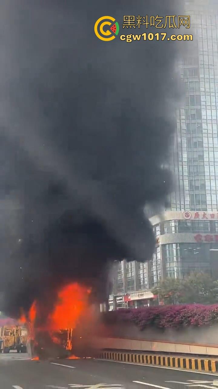 广东佛山季华园隧道口公交车发生自燃,现场浓烟滚滚,火势极其的大,具体自燃原因还待查明!-7