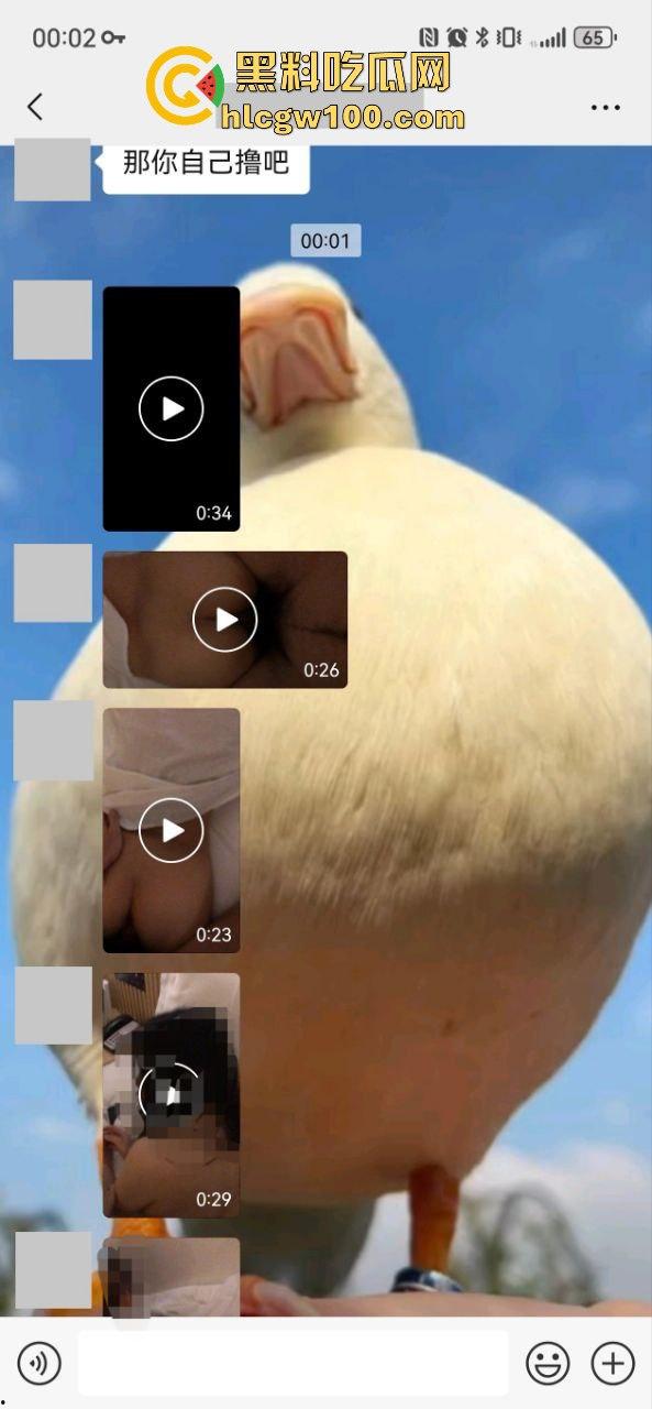 小编推荐!推特绿帽博主【小熊戴绿帽】把自己老婆送给单男爆操,完整聊天截图视频流出,内容属实劲爆。-26