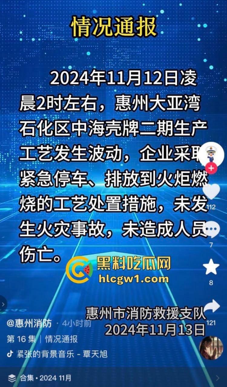 广东惠州大亚湾石化区核电站火光冲天 现场实拍视频流出 这是爆炸还是日出啊？-2
