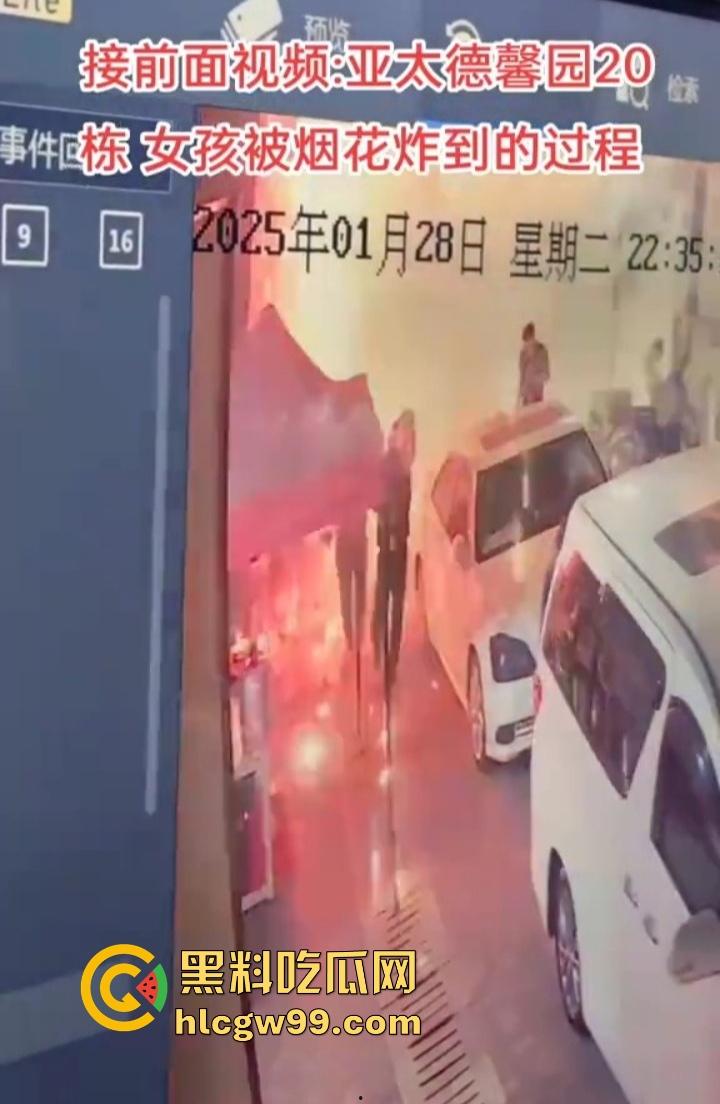 缅甸妙瓦底狗推放烟花庆祝 结果变身炸弹现场 短裙女友当场炸伤 这烟花是买到军火了?-11