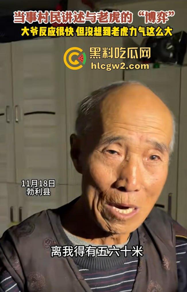 黑龙江勃利县长太村惊现野生东北虎入村 咬伤65岁大爷 大爷吃瓜看虎差点被虎吃 大爷还是大爷！-6