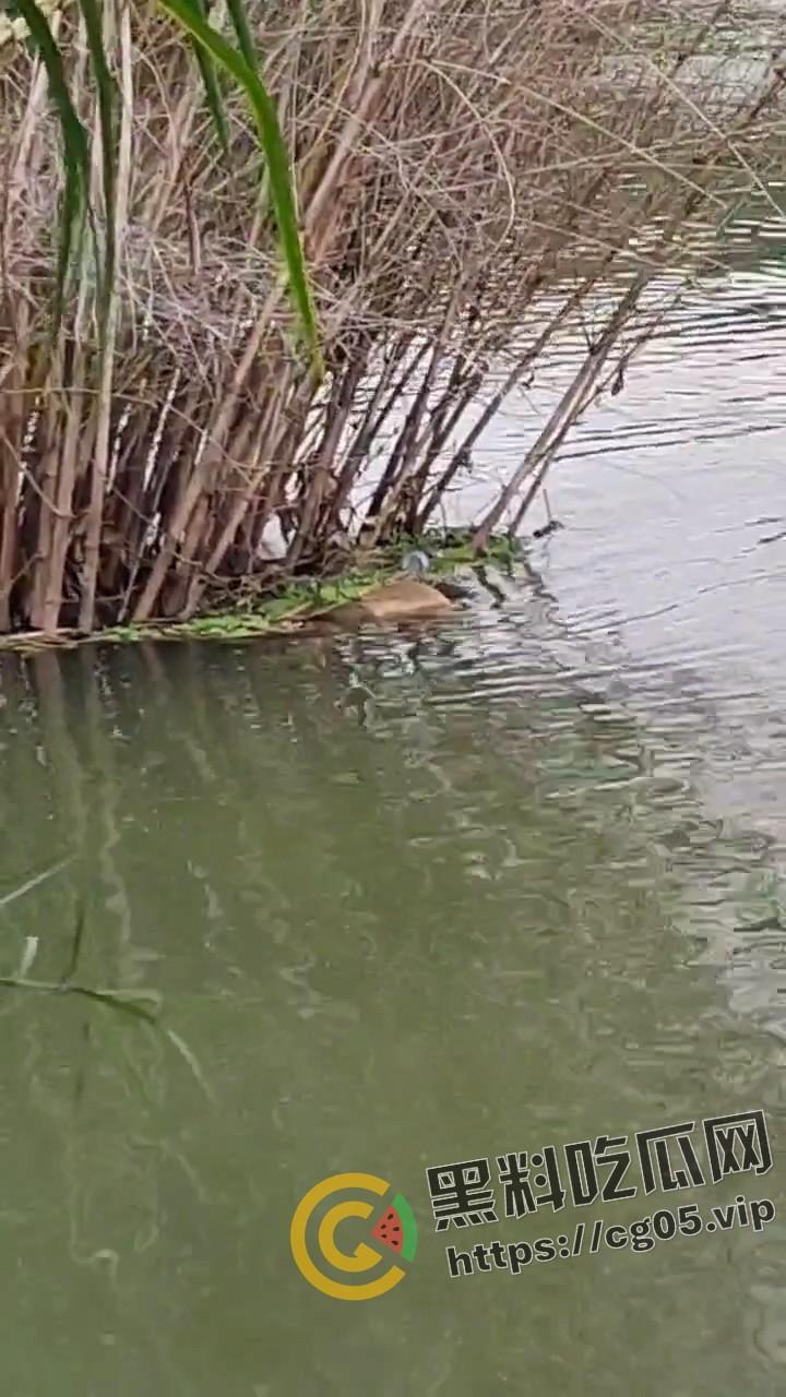 广州从化大学城女大学生接连失踪 江浦街道惊现无头女尸 凶手仍未捕获 现场画面曝光-7