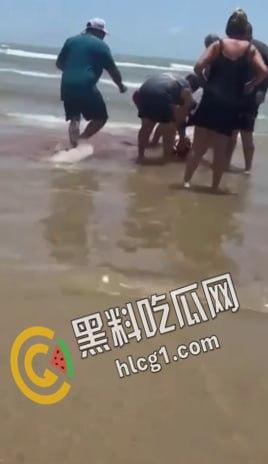 美国德克萨斯州南帕德里岛海滩，多人被鲨鱼咬伤。两男两女遭到鲨鱼袭击。政府已派出直升机将其驱赶。-3