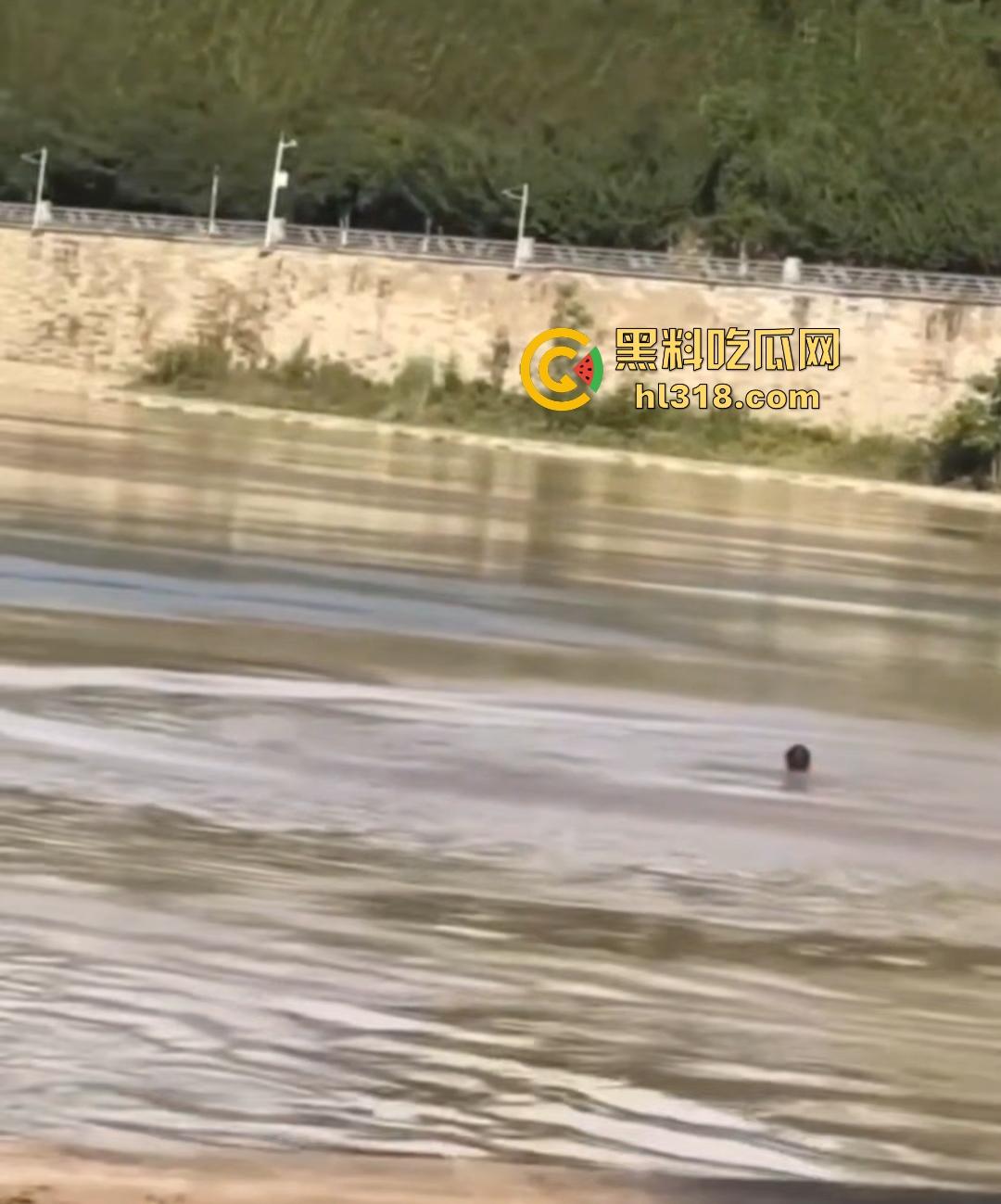 宜宾南门大桥惊魂跳河！黄河波浪敲响生命警钟，黄金30秒生死救援捡回一条狗命！-5