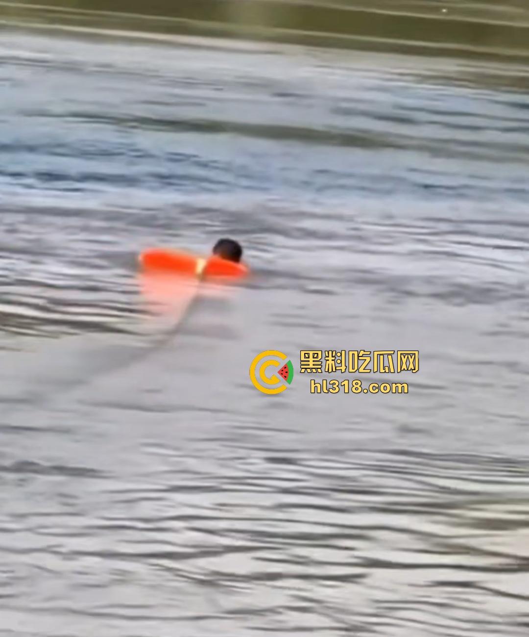 宜宾南门大桥惊魂跳河！黄河波浪敲响生命警钟，黄金30秒生死救援捡回一条狗命！-7