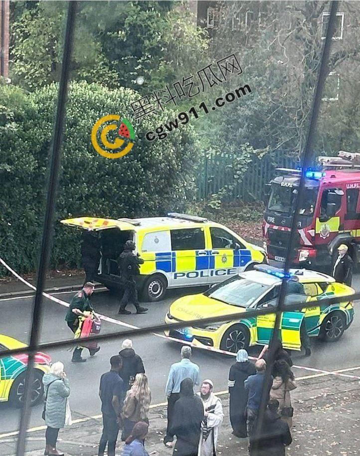 英国曼彻斯特犹太教堂持刀袭击事件：曼彻斯特希顿公园犹太会堂遭暴徒狂躁袭击，血腥惨剧惊天动地！-8