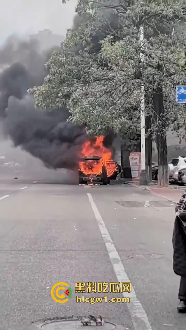 福建莆田一suv路边自燃 几分钟烧成空壳 现场实拍视频曝光-4
