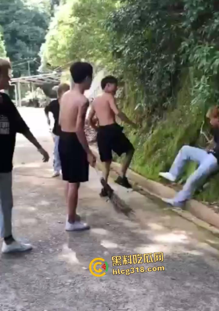 精神小伙霸凌俩小黄毛，拳打脚踢惨不忍睹，十米的大棍子直接爆头，黄毛倒地直接痉挛！-2