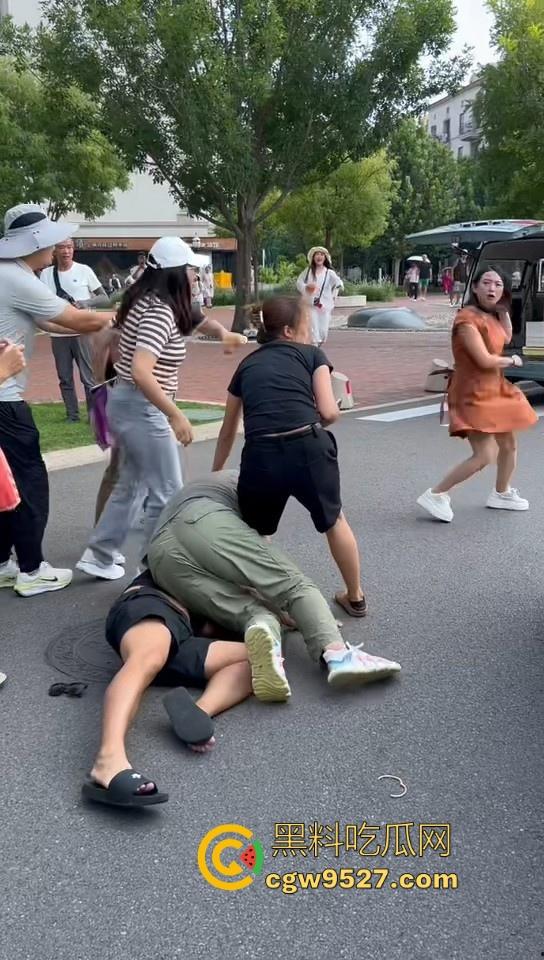 北京土豪大哥假期出游，偶遇路霸相逼停车怒骂，也不惯着他，从言语攻击到两边人马互殴，直至流血才停下！-1