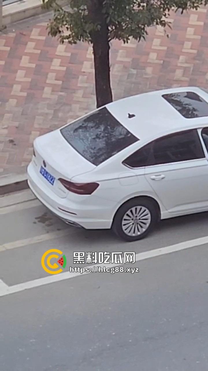 河南偷车小分队大白天开抢，一人爆车门硬撬，两傻逼骑小电驴望风，天网监控算个屁！-7