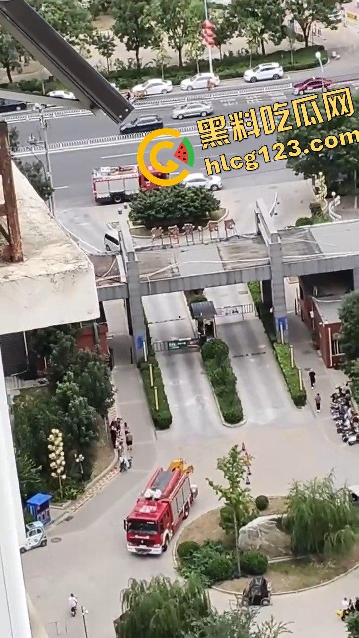 结婚当天邻居跳楼，喜事变悲剧，新人如何处理这场突如其来的困境？-6