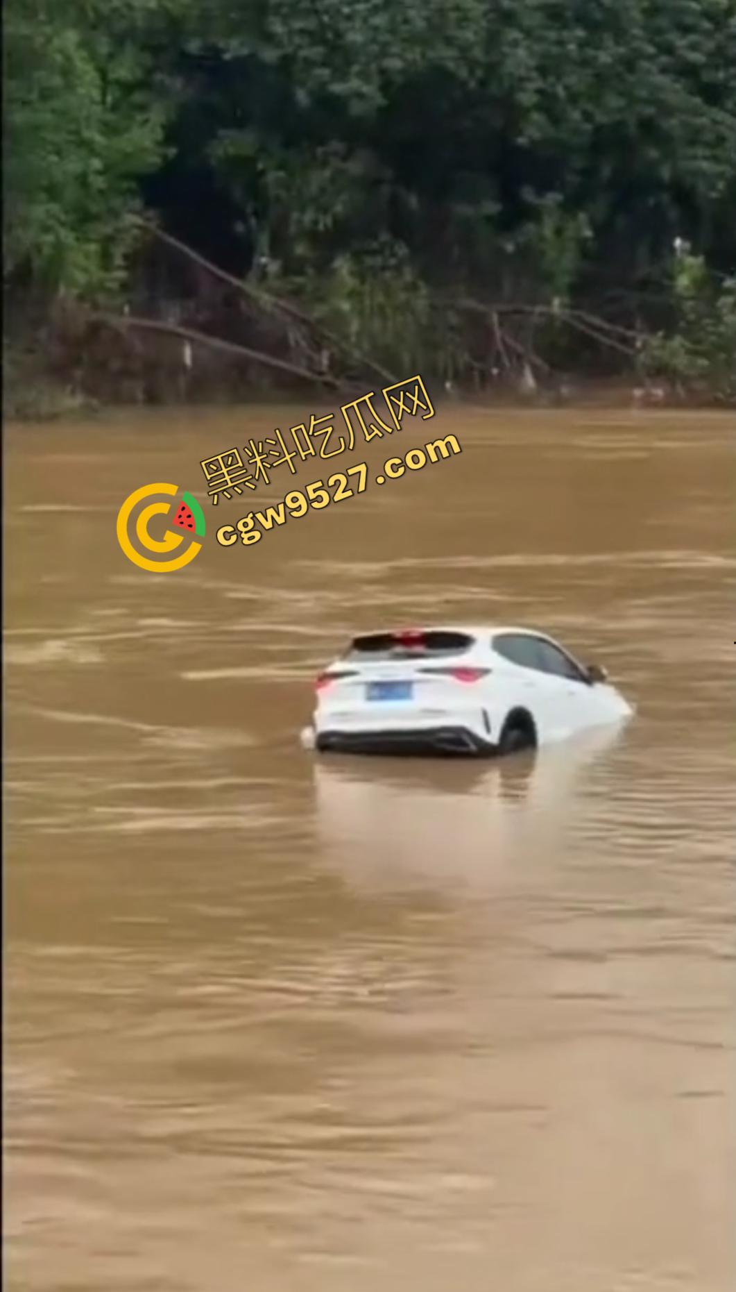 远离女司机!东莞一女司机因操作失误掉河里死亡,监控摄像头全程记录,这操作真牛!-5