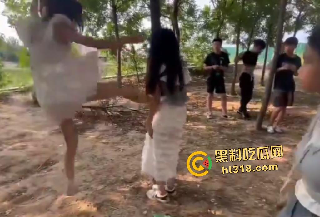 河南树林惊爆霸凌事件!精神小伙小妹群殴弱女,用手打还嫌手痛,最后直接用脚踹,腰都快要闪到了!-5