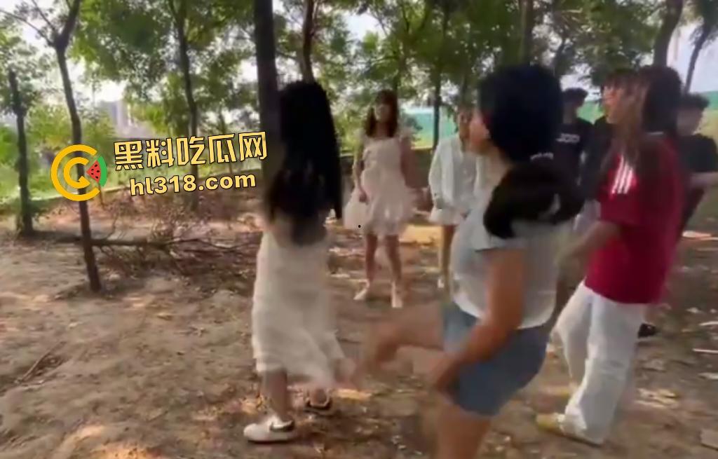 河南树林惊爆霸凌事件!精神小伙小妹群殴弱女,用手打还嫌手痛,最后直接用脚踹,腰都快要闪到了!-6