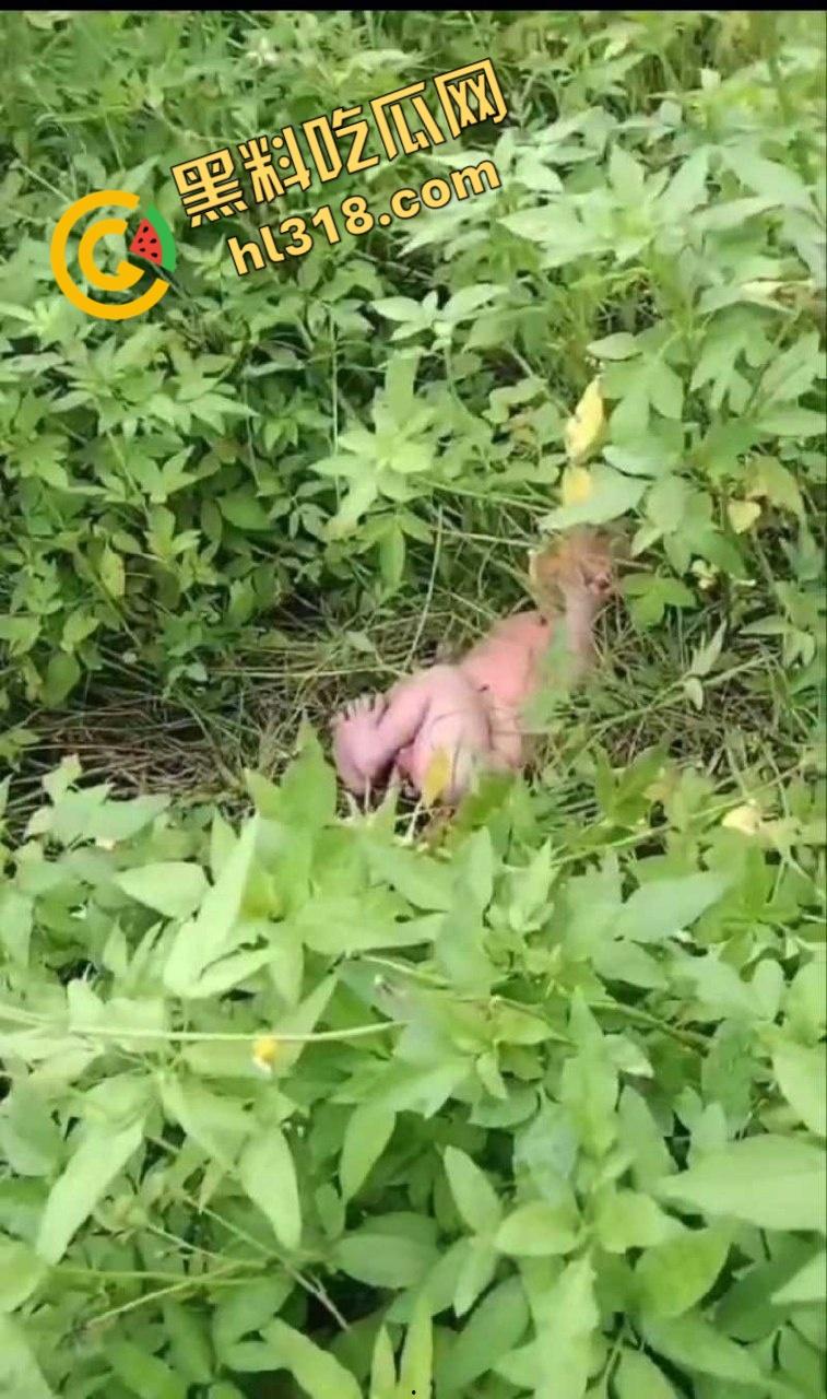 黑料正能量,福建福清市宏路公园发现一名弃婴,连脐带都没剪断,不幸中的万幸,得好心大娘救助!-1