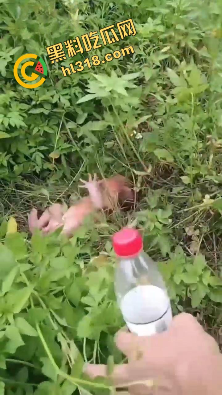 黑料正能量,福建福清市宏路公园发现一名弃婴,连脐带都没剪断,不幸中的万幸,得好心大娘救助!-2