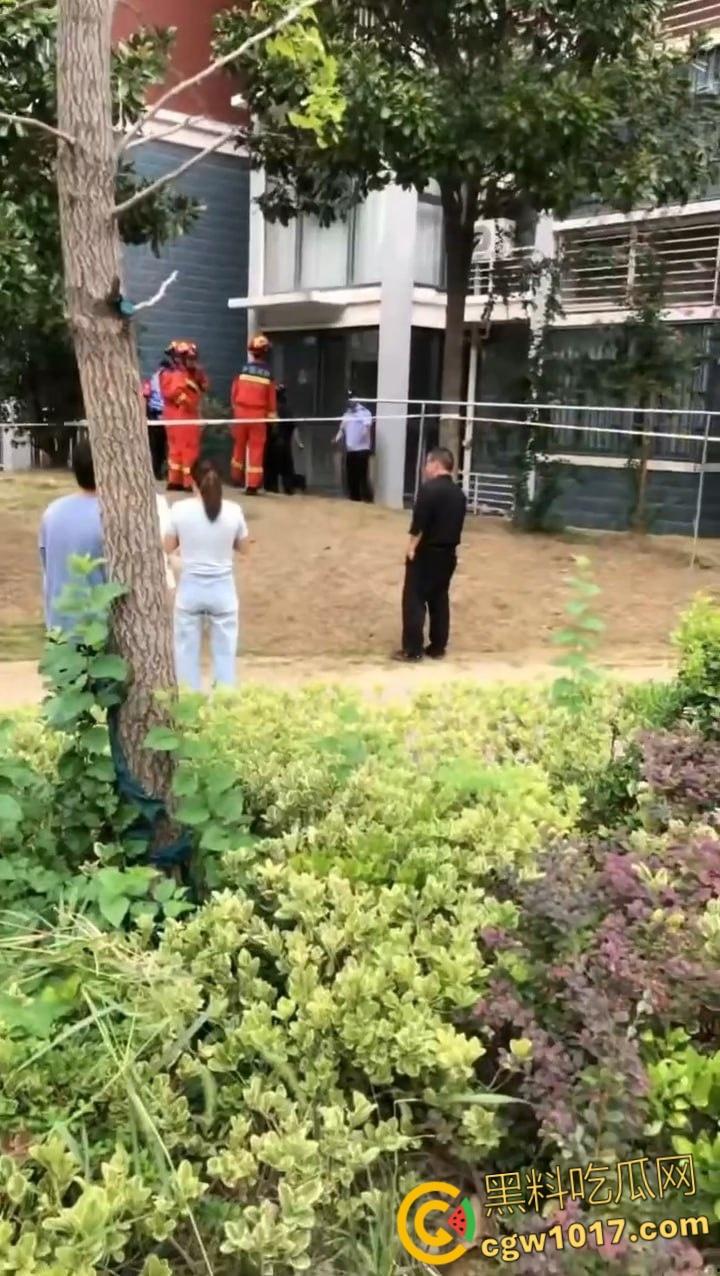 安徽马鞍山和县京都公馆，一头野猪将居民门撞坏后跑进居民家里，公安携带猎犬和道具将野猪麻醉 ！-1