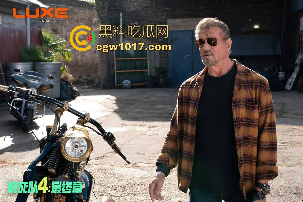 好莱坞经典硬汉电影【敢死队4:最终章】迎来谢幕之战,这个曾集结史泰龙、施瓦辛格的最后一部续作高清上映!-6