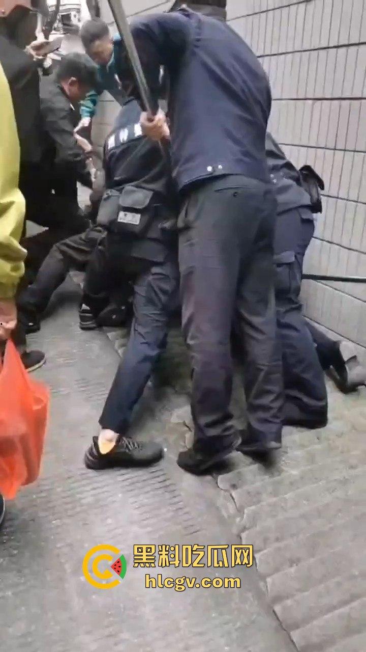 网友投稿浙江建德新安江惊现大野猪!早上9点横冲直撞,场面惊险万分!-10