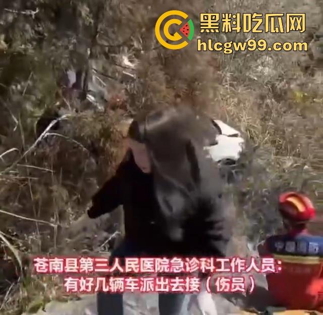 车技不过关少走云贵川,温州天真道观附近私家车坠崖,事故原因仍在进一步核实中。-2